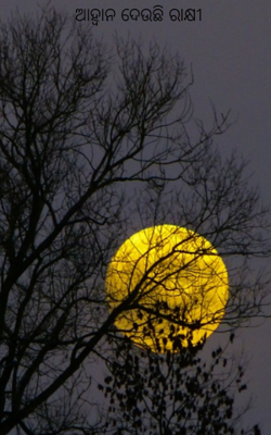 ଆହ୍ବାନ ଦେଉଛି ରାକ୍ଷୀ