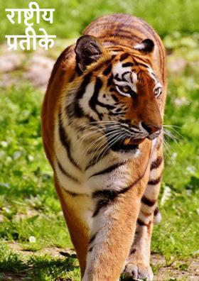 राष्ट्रीय प्रतीके