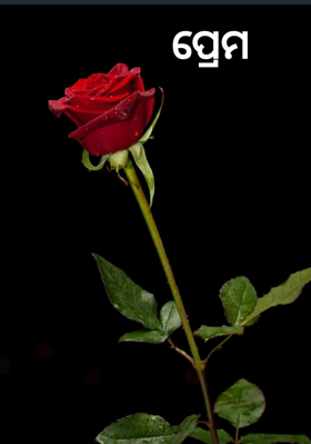 ପ୍ରେମ