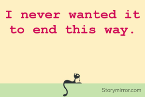 I never wanted it to end this way.