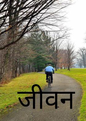 जीवन शैली