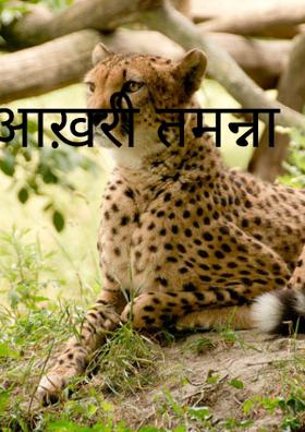 आख़री तमन्ना