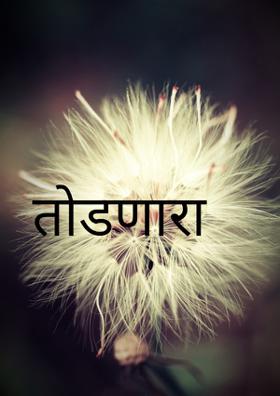 तोडणारा