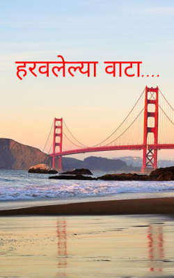 हरवलेल्या वाटा....