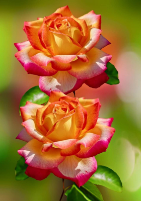 गहरा प्यार