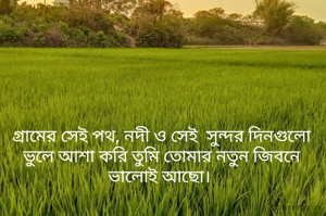 গ্রামের সেই পথ, নদী ও সেই  সুন্দর দিনগুলো ভুলে আশা করি তুমি তোমার নতুন জিবনে ভালোই আছো। 