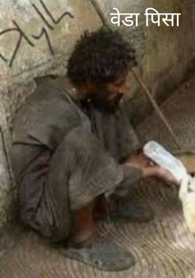 वेडा पिसा