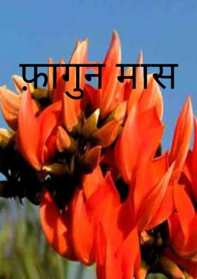 फ़ागुन मास