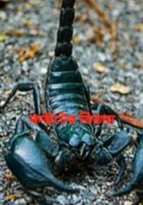 কর্কটের বিজয়