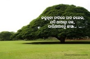  ଜଳୁଥିବା ତାତିରେ ପାଦ ଜଳେଇ,
ଯଦି ଥାଆନ୍ତା ଗଛ,
ପାରିଥାଆନ୍ତେ ଛାଇ...