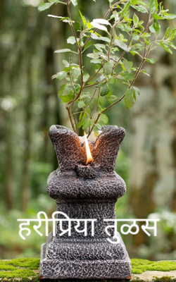 हरीप्रिया तुळस