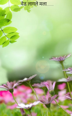 वेड लागले मला.......