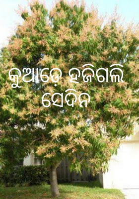 କୁଆଡ଼େ ହଜିଗଲି ସେଦିନ