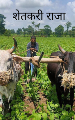 शेतकरी राजा