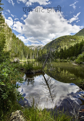 एक वाट झाली