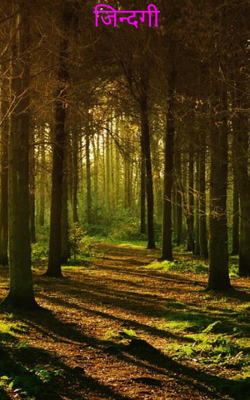 जिन्दगी