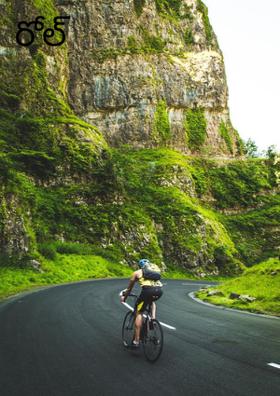 రోల్ మోడల్