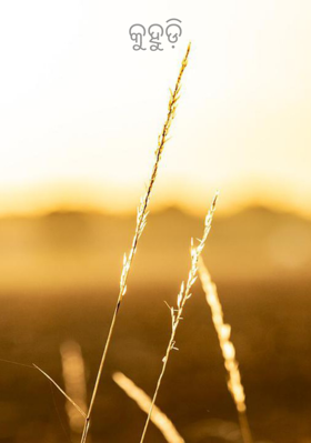 କୁହୁଡି଼