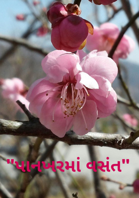 પાનખરમાં વસંત