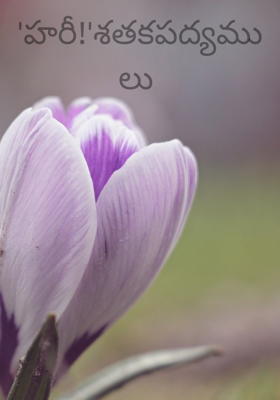 'హరీ!'శతకపద్యములు