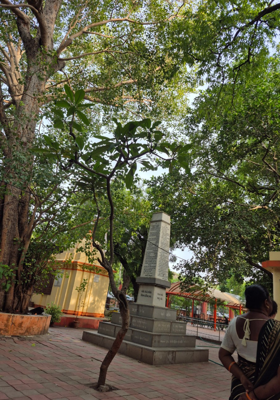 कमाटी गार्डन – बड़ौदा की हरियाली, भव्यता,मनोरंजन