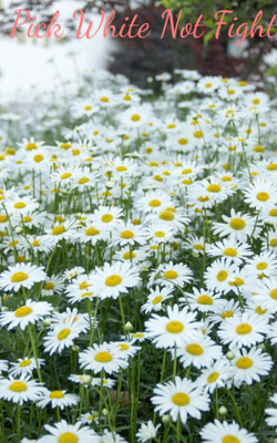 Pick White Not Fight