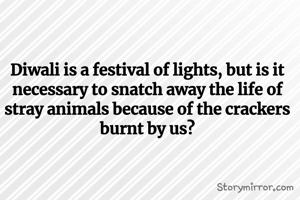 Diwali is a festival of lights, but is it necessary to snatch away the life of stray animals because of the crackers burnt by us?