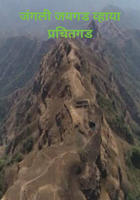 जंगली जयगड व्हाया प्रचितगड
