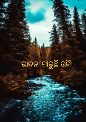 ଭାବନା ମାରୁଛି ଉଙ୍କି
