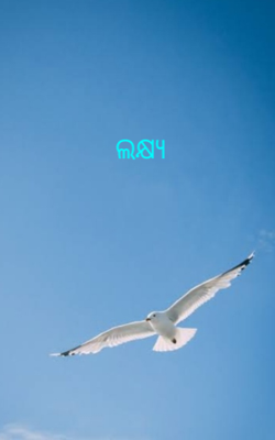 ଲକ୍ଷ୍ୟ