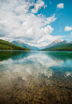 હોળી સંગ 