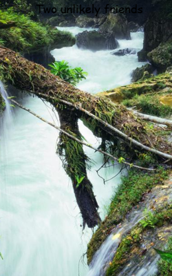 Two unlikely friends