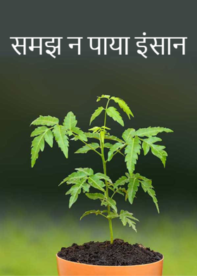 समझ न पाया इंसान