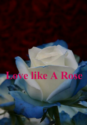 Love like A Rose