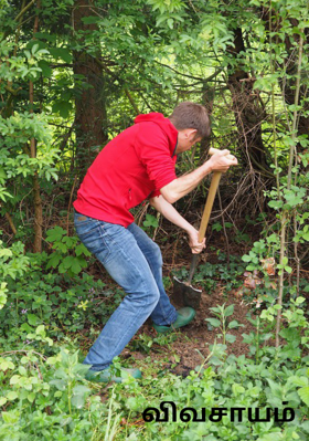 விவசாயம்