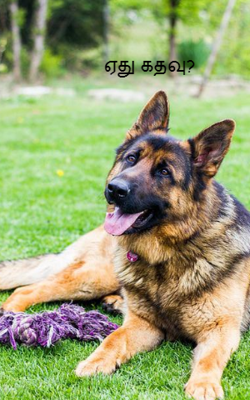 ஏது கதவு?