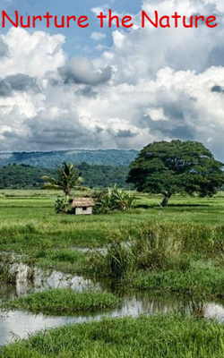 Nurture The Nature