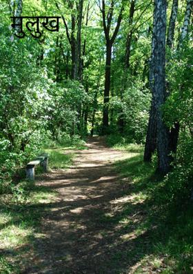 मुलुख मराठी