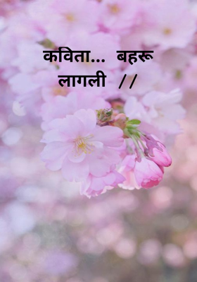 कविता... बहरू लागली...