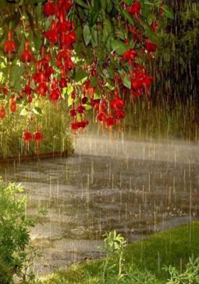 પ્રિયેને પત્ર