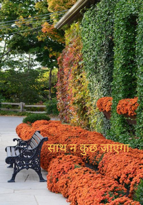 साथ न कुछ जाएगा