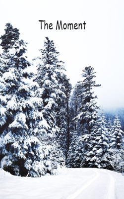 The Moment