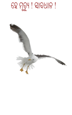 ହେ ମୃତ୍ୟୁ ସାବଧାନ