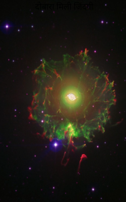 दोबारा मिली जिंदगी