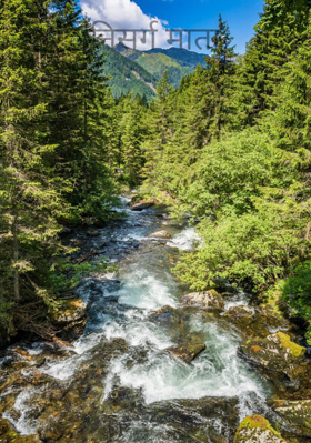 निसर्ग माता