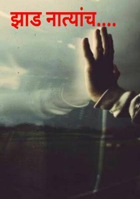 झाड नात्यांच....