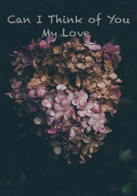 Can I Think Of You My Love
