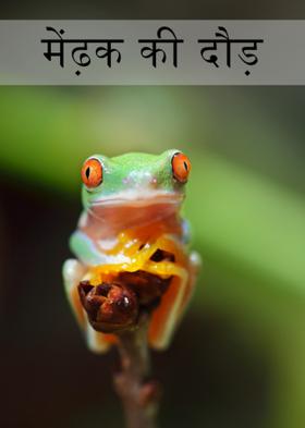 मेंढ़क की दौड़