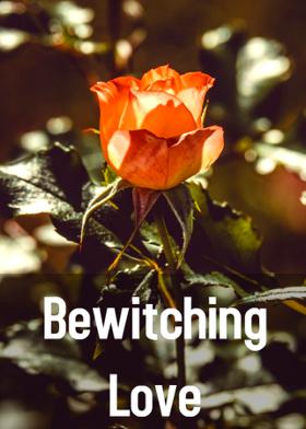 Bewitching Love