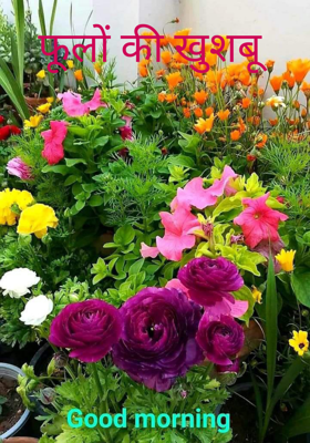 फूलों की खुशबू